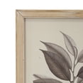 thumbnail image 6 of 15.7x20.7" Botanical Wall Décor, Home Decor for Living Room, Dining Room, Bedroom, Hallway, Set of 4, 6 of 8