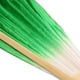 thumbnail image 5 of Abanico Plegable China para Danza Del Vientre Velos Disfraz Abanicos Mujer () Verde, 5 of 6