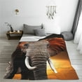thumbnail image 5 of Susaid Elephant Sunset in Kenya Print Microfiber Cleaning Cloth, Multi-Functional Cleaning Towels, Highly Absorbent Cleaning Rags,Cleaning Cloths for Car Kitchen Home-40"x30", 5 of 7