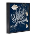 thumbnail image 2 of Stupell Industries Traditional Coral Medley on Blue Black Framed Giclee Art, 12 x 12, by Lanie Loreth, 2 of 8