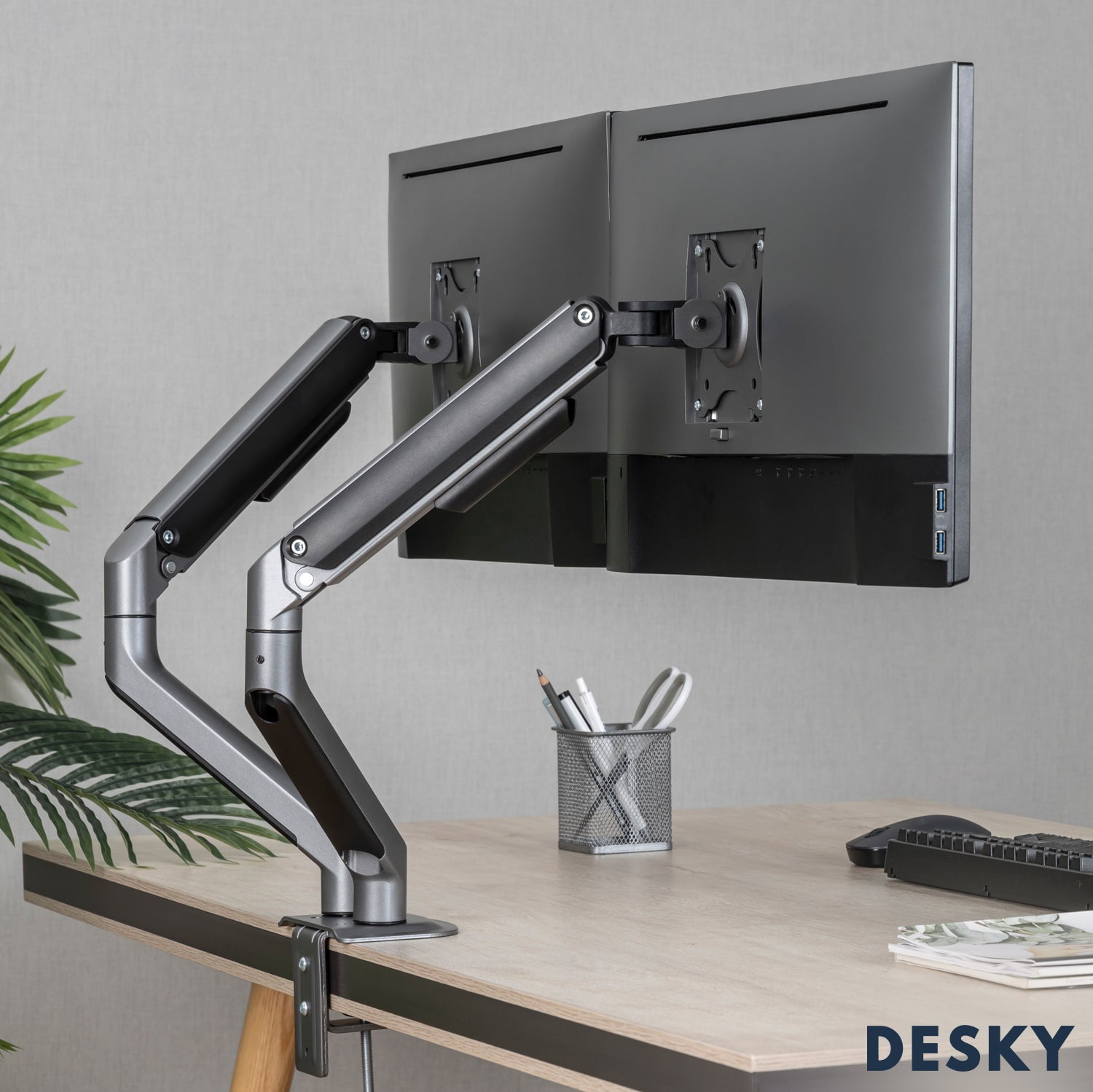Desky Dual Spring Eco Monitor Arm - Silver