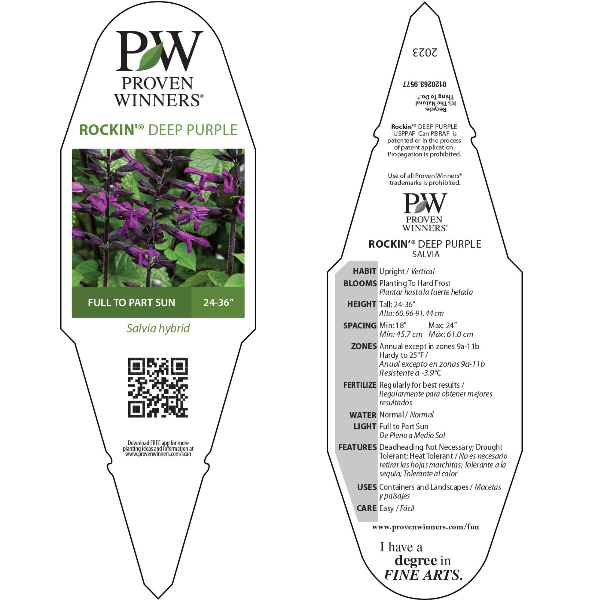 Proven Winners 8" Rockin' Deep Purple Salvia Live Plant in 6.5" Pot