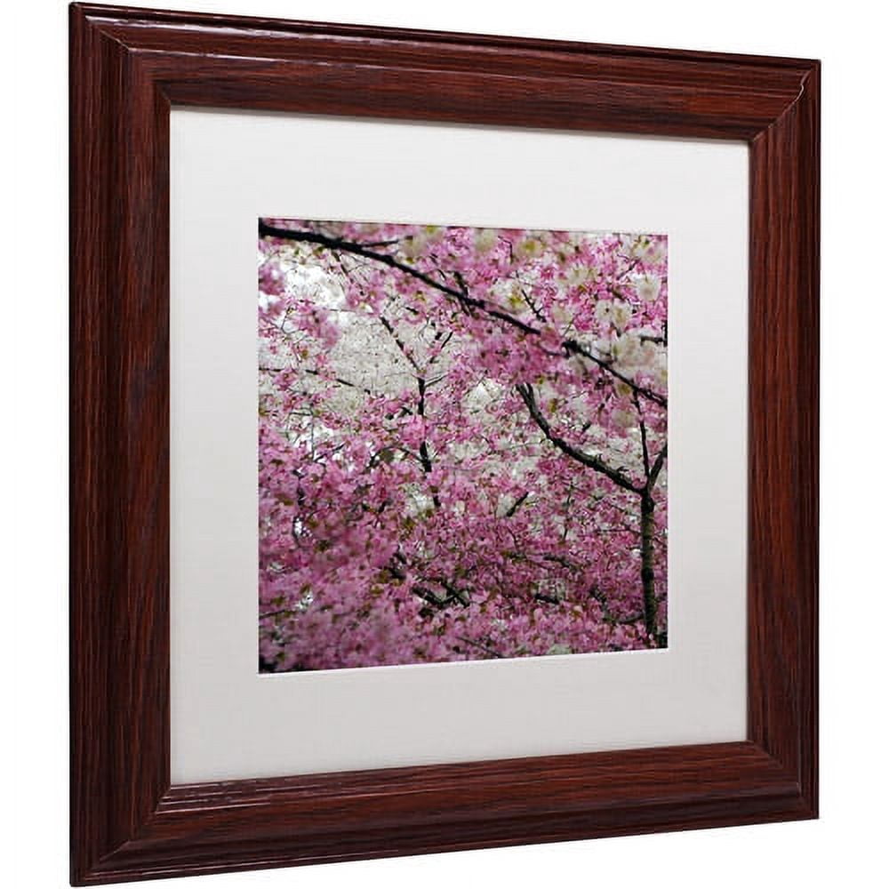 Trademark Fine Art "Cherry Blossoms 2014-3" Canvas Art by CATeyes, White Matte, Wood Frame