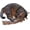 Cheetah, variant on West Coast Pet Products Refillable Catnip Kicker Toy, 15" Bunny Kick Stick, Made in USA, Red Flannel