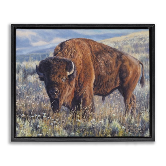 Stupell Industries Prairie King Bison Landscape Photography Black Floater Framed Canvas Art Print Wall Art, 21 x 17