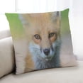 thumbnail image 1 of Ahgly Company Animals Fox Coussin Intérieur, 18 Pouces par 18 Pouces, 1 of 6