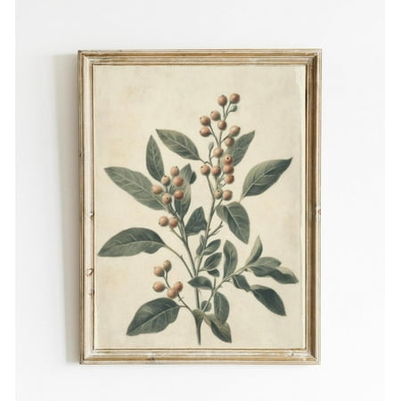 Vintage Botanical Vintage Botanical Print Poster Farmhouse Kitchen Decor Poster Sage Green Wall Art Poster Cottage Spring Print Poster E200, Unframed Poster Size 8x12 F03.1.18l1123