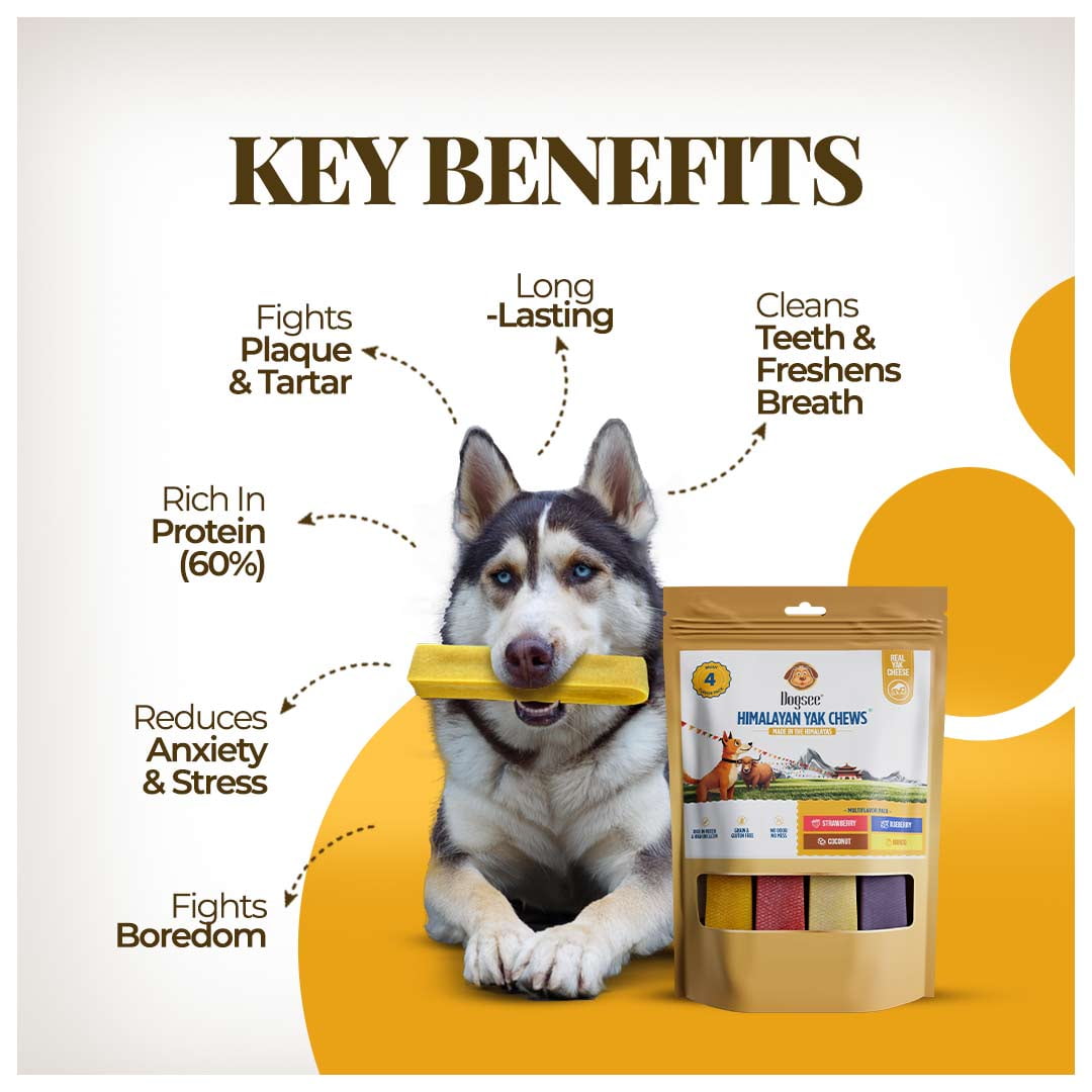 Dogsee Yak Chews Large Dogs Multiflavor Dental Care Long Lasting 1 lb 4 Chews