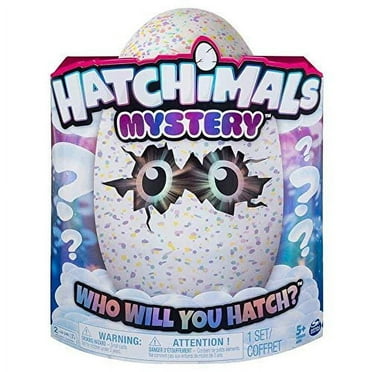 Hatchimals Mystery Egg, Hatch 1 of 4 Interactive Mystery Characters (Styles May Vary), Multicolor