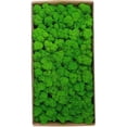 thumbnail image 1 of Decoración de pared de musgo conservado Musgo conservado real Sin mantenimiento, 1 of 5