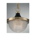 thumbnail image 3 of 60/7059-Nuvo Lighting-Faro-1 Light Small Pendant in Transitional Style-10 Inches Wide by 11.38 Inches High-Burnished Brass/Black Finish, 3 of 6