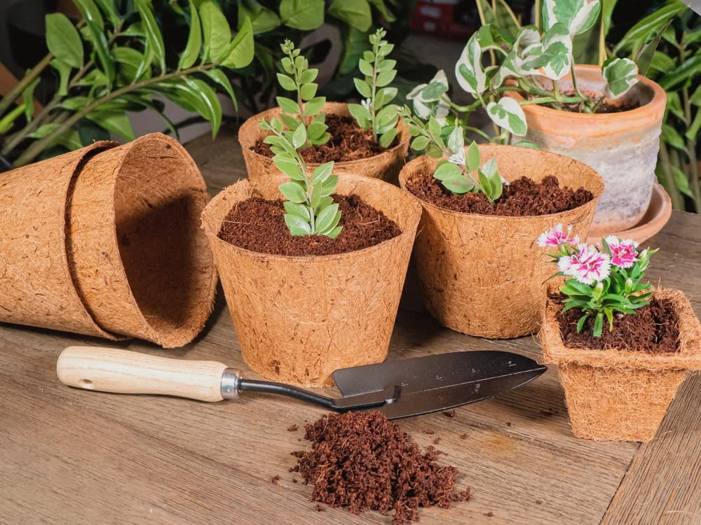 Envelor Coco Coir Plant Pots Seed Starter Tray Biodegradable Seed Starter Pots Coco Peat Pots Seedling Cups Small Plant Pots Germination Nursery Planting Tray Plant Starter Pots, 6 Inches 5 Pack