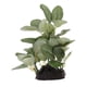 thumbnail image 1 of 2 adornos de decoración de reptiles, decoración de acuario, pecera, plantas de césped artificial para decoración del hogar, interior y exterior Zulema Plantas de agua de reptil Vivarium, 1 of 8