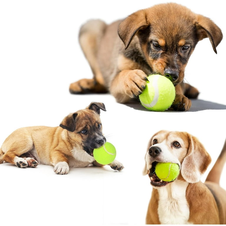 Non toxic tennis balls for dogs 2025