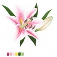 thumbnail image 3 of McCavitt, Naomi 20x20 Black Modern Framed Museum Art Print Titled - Brighton Blooms II, 3 of 5