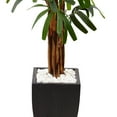 thumbnail image 3 of Nearly Natural 5.5 ft. Raphis Palm Artificial Tree in Black Planter, 3 of 5