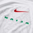 thumbnail image 4 of Jersey Playera Nike de la Seleccion de Nigeria de Local Para Hombre Talla Extra Grande  (XL), 4 of 5