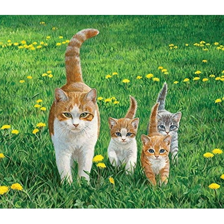 SunsOut Happy Tails 550 pc Jigsaw Puzzle | Walmart Canada