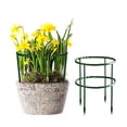 thumbnail image 5 of Small Plant Support Plant Stakes Garden Flowers Green Plant Support Ring Planter Support Ring For Schlumbergera Clivia Vegetables, 5 of 7