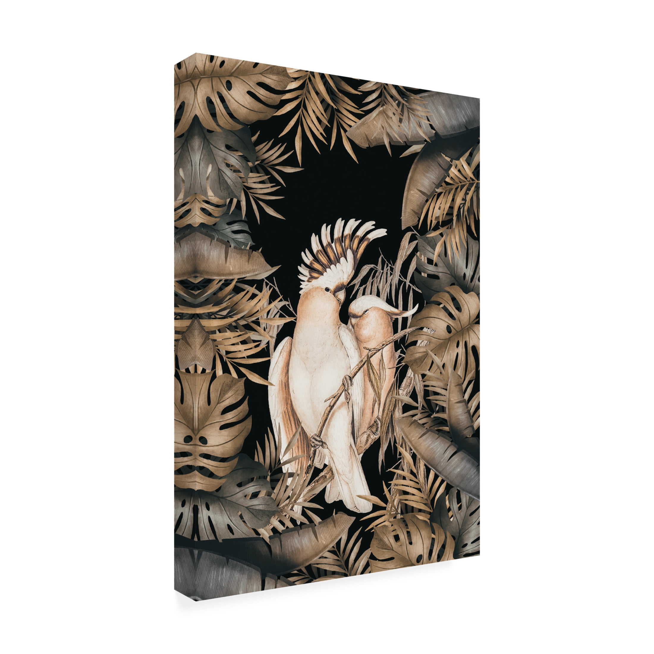Trademark Fine Art Andrea Haase  Jungle With Cockatoos Canvas Wall Art
