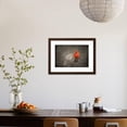 thumbnail image 4 of Together Again, Animals Framed Art Print Wall Art by Jai Johnson Sold by Art.Com, 4 of 6