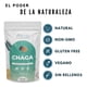 thumbnail image 5 of NAIMA Hongo Chaga En Polvo, 100 g | Hongo Adaptógeno 100% Natural |Bienestar Físico, Vitalidad Diaria, Energía Natural | Suplemento Vegano con Nutrientes Esenciales, 5 of 8