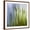 Brown Frame, variant on Art.com Moss Photographic Print by Ursula Abresch, 24" x 24"