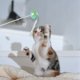 thumbnail image 5 of Juguete interactivo para gatos, Hada divertida, palo para gatos y bola con cinta, juego deportivo para gatos y juguete para gatos de interior, 5 of 5