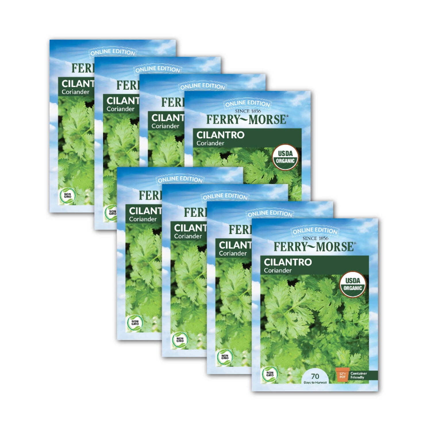 Ferry-Morse Online Edition Cilantro Coriander Seeds- 8 Pack