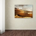 thumbnail image 4 of Trademark Fine Art 'Shades of Gold' 22" x 32" Canvas Art, 4 of 4