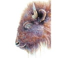 thumbnail image 2 of Wickstrom, Martin 12x14 White Modern Wood Framed Museum Art Print Titled - Spirit of the West Buffalo, 2 of 4