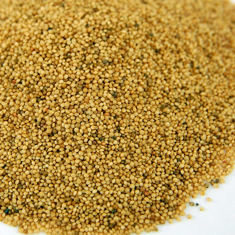 Organic Amaranth Seeds- 2.5 Lbs- Grain Seed for Sprouting Sprouts, Cooking,  Grinding For Flour, Soup, Food Storage & More