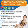 thumbnail image 6 of Liquid Glucosamine for Dogs - Hip & Joint Support with Chondroitin, MSM & Collagen - Easy-Serve Joint Pain Relief Supplement (16 fl oz), 6 of 8