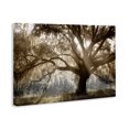 thumbnail image 4 of Stupell Industries Sun Streak Through Tree Landscape & Nature Photography Wrapped Canvas Art Print Wall Art, 45 x 30, 4 of 8