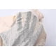 thumbnail image 3 of Underarm Sweat Pads Vest Sweat-absorbent Vest Armpit Sweat Pad Shield, 3 of 4