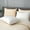 White, variant on APSMILE Pure Mulberry Silk Pillowcases Set of 2, Hair and Skin Friendly 22 Momme Grade-6A Silk Pillow Cases with Hidden Zipper (King Size -20x36 Inch, White)