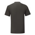 thumbnail image 2 of Fruit Of The Loom Mens Iconic 150 T-Shirt, 2 of 3