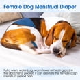 thumbnail image 5 of Kuoser Reusable Dog Diaper, Soft Belly Band with Abdominal Pocket for Male and Female Dogs, Washable Period Diaper for dog, 1 Pack, Blue, M, 5 of 8