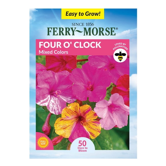 Ferry-Morse 2.35G Four O'Clock Mixed Colors Annual Flower Seeds, Full Sun