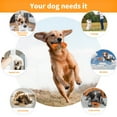 thumbnail image 3 of Indestructible Dog Chew Toy , Dog Toys for Aggressive Chewers, Flavor Medley, 3 of 8