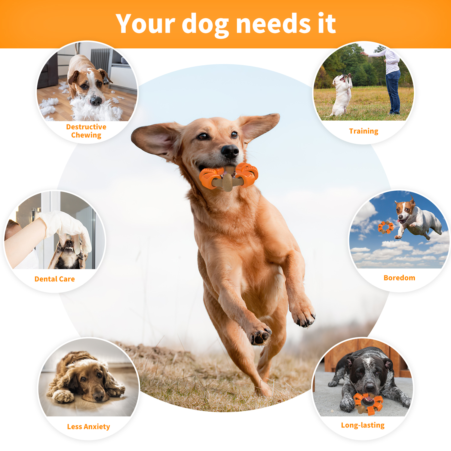 Charkool Indestructible Dog Chew Toy, Flavor Medley photo 3