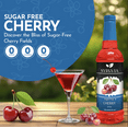 Syruvia SugarFree Cherry Coffee Syrup, Natural Flavor for Lattes, Shakes, Smoothies, Desserts