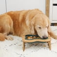 thumbnail image 2 of para perros con , estante con inclinación degree, ptos para perros, ptos de alimentación, comedero antideslizante , Gloria Cuencos para mascotas, 2 of 9