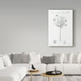 thumbnail image 3 of Trademark Fine Art 'Botany Book VII' Canvas Art by Wild Apple Portfolio, 3 of 3