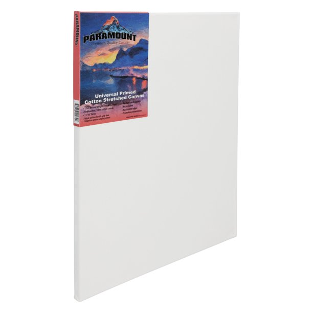 Paramount Artist Pre Stretched Canvas For Painting 11 16 Deep 12 X 16 Walmart Com