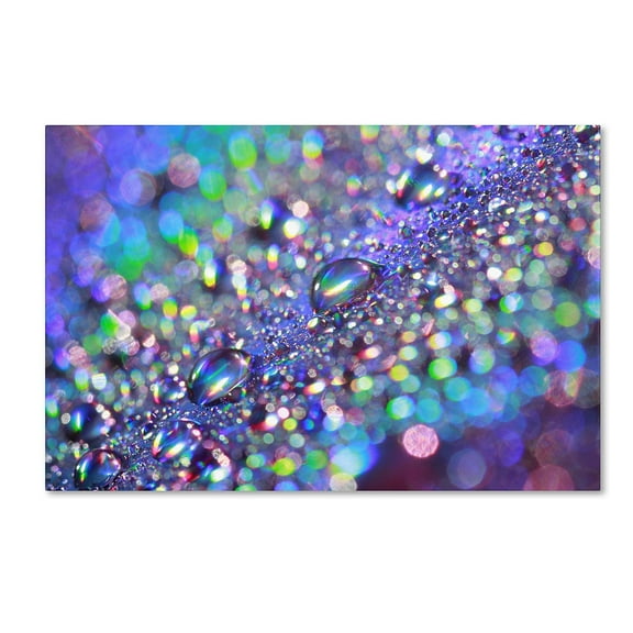 Trademark Fine Art "Colours of Rainbow" Canvas Art by Beata Czyzowska Young