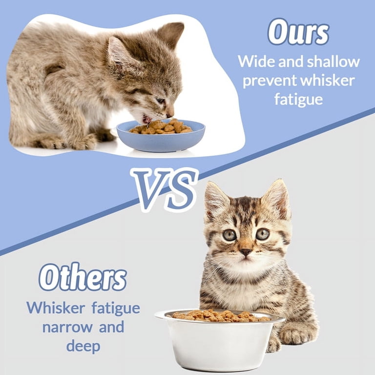 Qweryboo Whisker Friendly Cat Bowls, 6-Pack Shallow Dishes photo 3