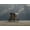 Unframed, variant on Art.com Elephant And Dog Sit Under The Rain Photographic Print by Mike_Kiev, 32" x 24"