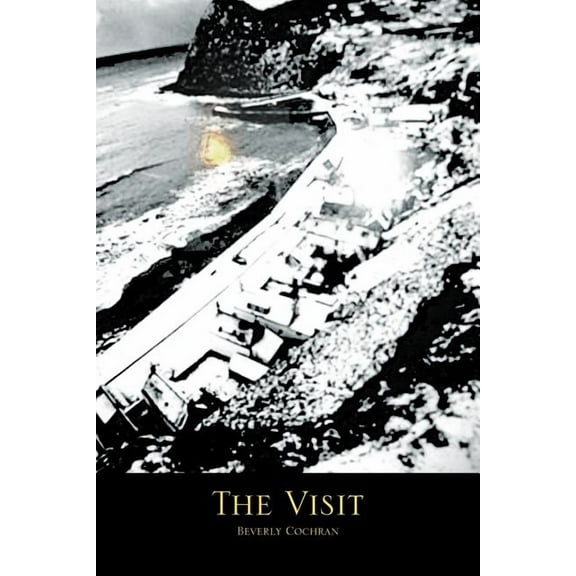 The Visit (Paperback)