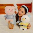 thumbnail image 5 of 30cm Cartoon Pig Panda Plush Toy with Glasses Funny Cosplay Doll Anime Panda Plush Toys Kawaii Pillow Birthday Xmas Gift Kids, 5 of 5